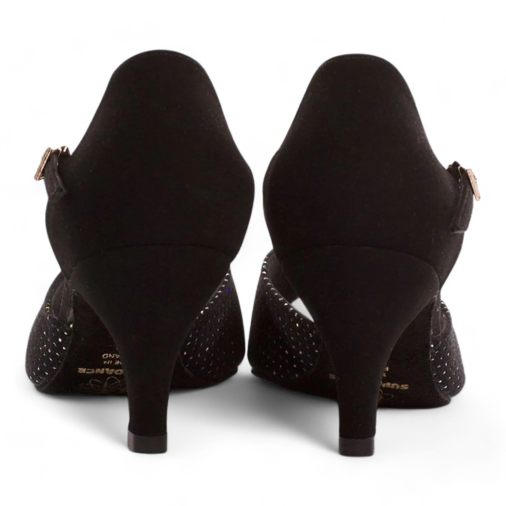 Modell 1529 Star Hologram