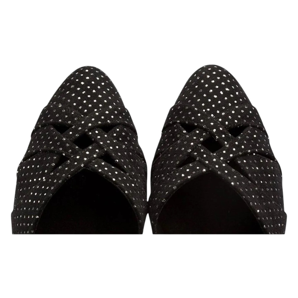 Modell 1531 Star Hologram