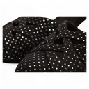 Modell 1531 Star Hologram