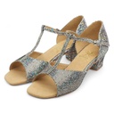 Modell 1007 Multi Hologram